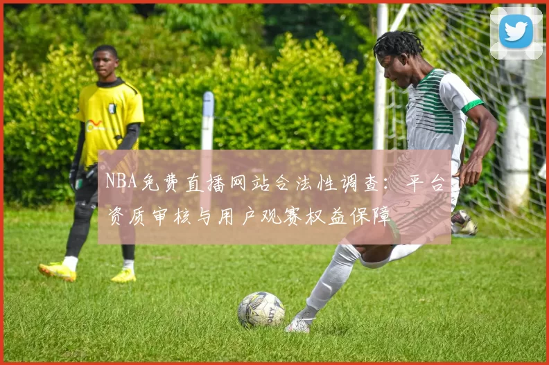NBA免费直播网站合法性调查:平台资质审核与用户观赛权益保障
