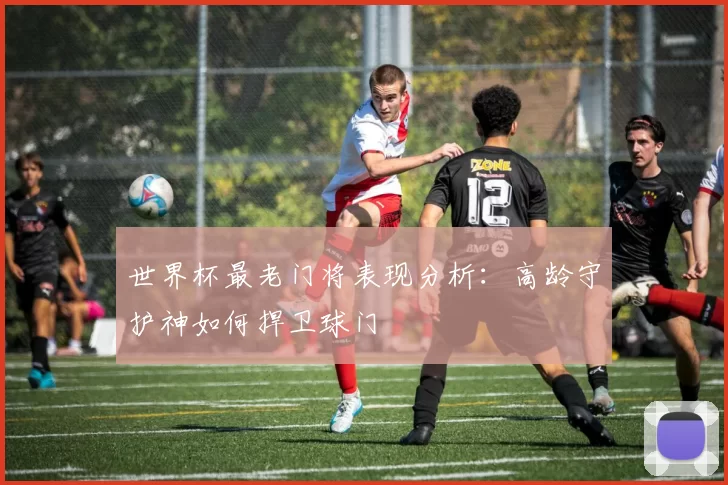 世界杯最老门将表现分析:高龄守护神如何捍卫球门
