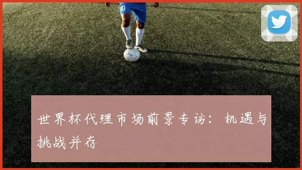世界杯代理市场前景专访:机遇与挑战并存