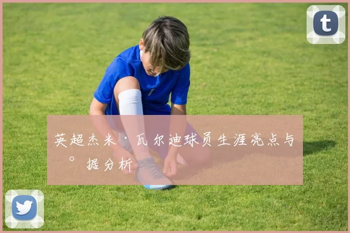 英超杰米·瓦尔迪球员生涯亮点与数据分析