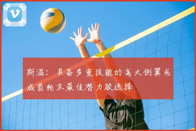 斯温:具备多重技能的高大侧翼或成首轮末最佳潜力股选择